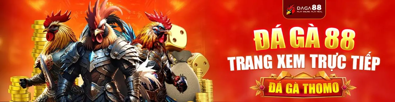 Trận đá gà trực tuyến sôi động tại 33win6 nhà cái