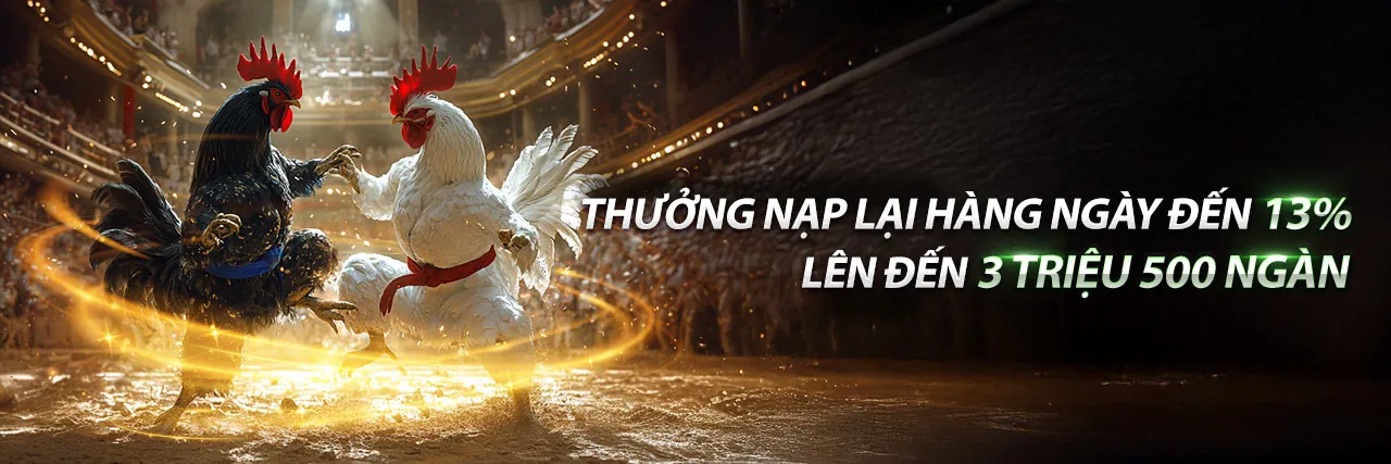 Sân vận động bóng đá với ánh đèn rực rỡ, biểu tượng cho cá cược thể thao sôi động tại 33win6 nhà cái